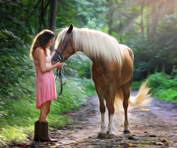 Little Girl With Horse Diamond Painting 